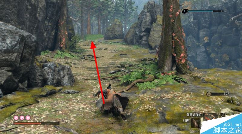 只狼影逝二度全流程图文攻略及BOSS打法详解