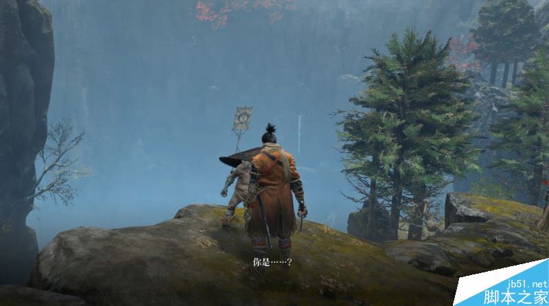 只狼影逝二度全流程图文攻略及BOSS打法详解