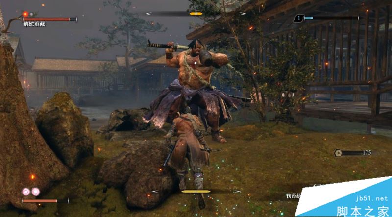 只狼影逝二度全流程图文攻略及BOSS打法详解