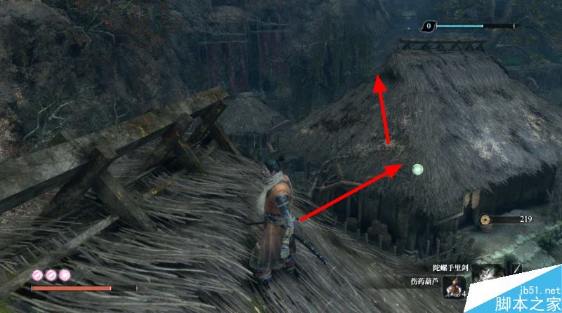 只狼影逝二度全流程图文攻略及BOSS打法详解