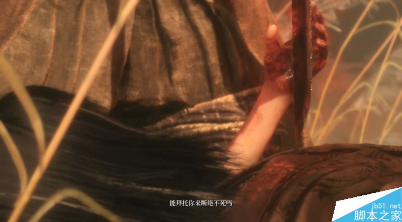 只狼影逝二度全流程图文攻略及BOSS打法详解