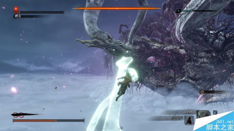 只狼影逝二度全流程图文攻略及BOSS打法详解