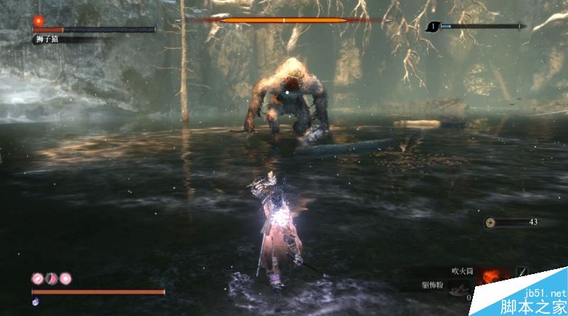 只狼影逝二度全流程图文攻略及BOSS打法详解