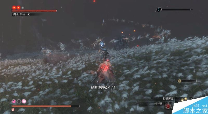 只狼影逝二度全流程图文攻略及BOSS打法详解