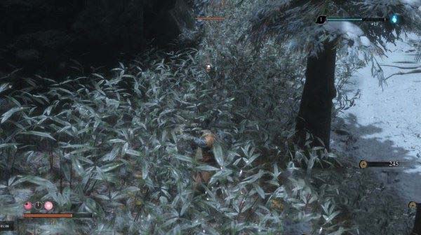 只狼影逝二度全流程图文攻略及BOSS打法详解