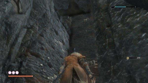 只狼影逝二度全流程图文攻略及BOSS打法详解