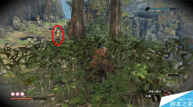 只狼影逝二度全流程图文攻略及BOSS打法详解