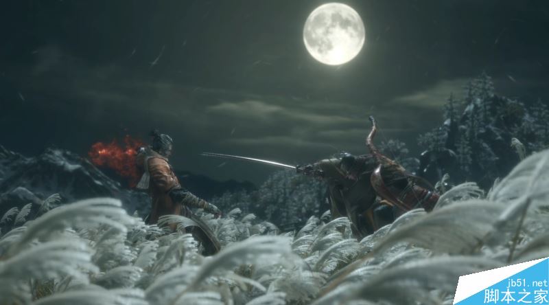 只狼影逝二度全流程图文攻略及BOSS打法详解