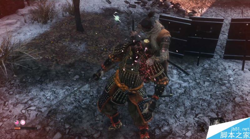 只狼影逝二度全流程图文攻略及BOSS打法详解