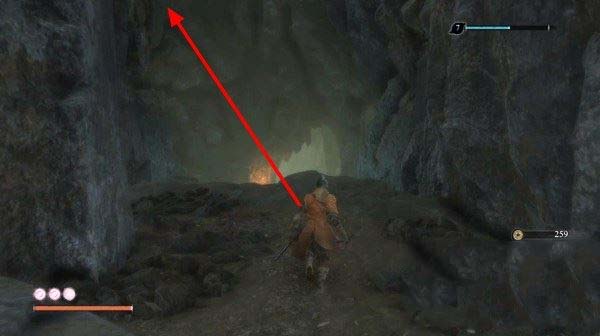 只狼影逝二度全流程图文攻略及BOSS打法详解