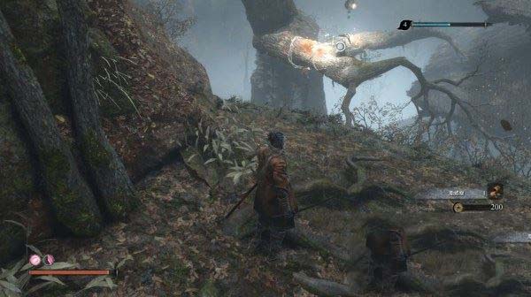 只狼影逝二度全流程图文攻略及BOSS打法详解