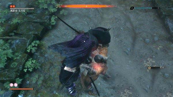 只狼影逝二度全流程图文攻略及BOSS打法详解