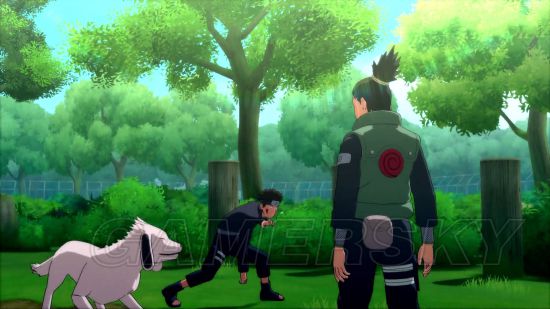 火影忍者究极风暴4鹿丸传任务图文攻略详解