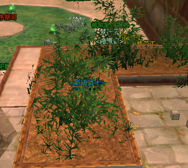 剑网3黑天挂件获取方法大揭秘，轻松刷出心仪挂件！