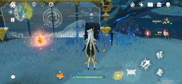 原神龙脊雪山石碑位置与点亮方法，雪葬的星银八个石碑全解析