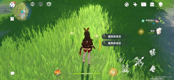 原神龙脊雪山石碑位置与点亮方法，雪葬的星银八个石碑全解析