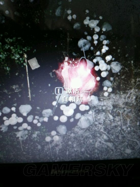 上古卷轴5独特属性武器的获取途径详解