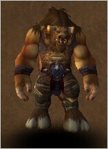 魔兽世界6.0霜火岭追随者获取全攻略