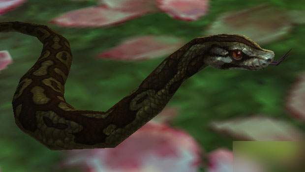 魔兽世界6.1宠物对战最强排行榜