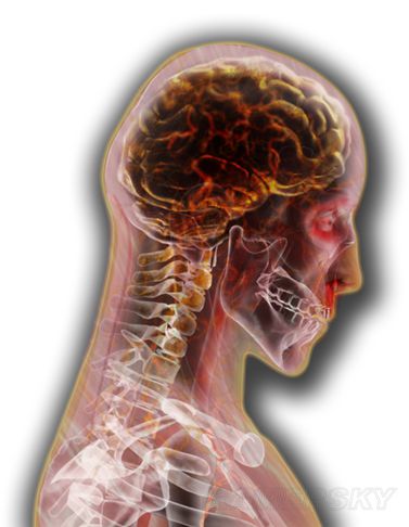 瘟疫公司猩猩流感成就解锁方法全解析