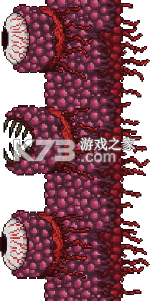 泰拉瑞亚
