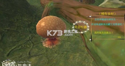 创造与魔法