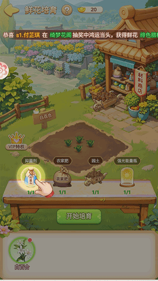 我的花园世界破解版无限元宝