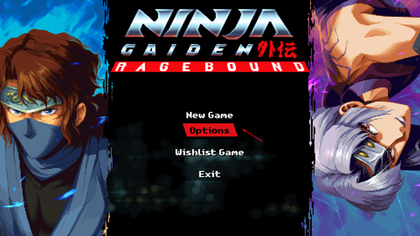 忍者龙剑传外传怒之羁绊中文版