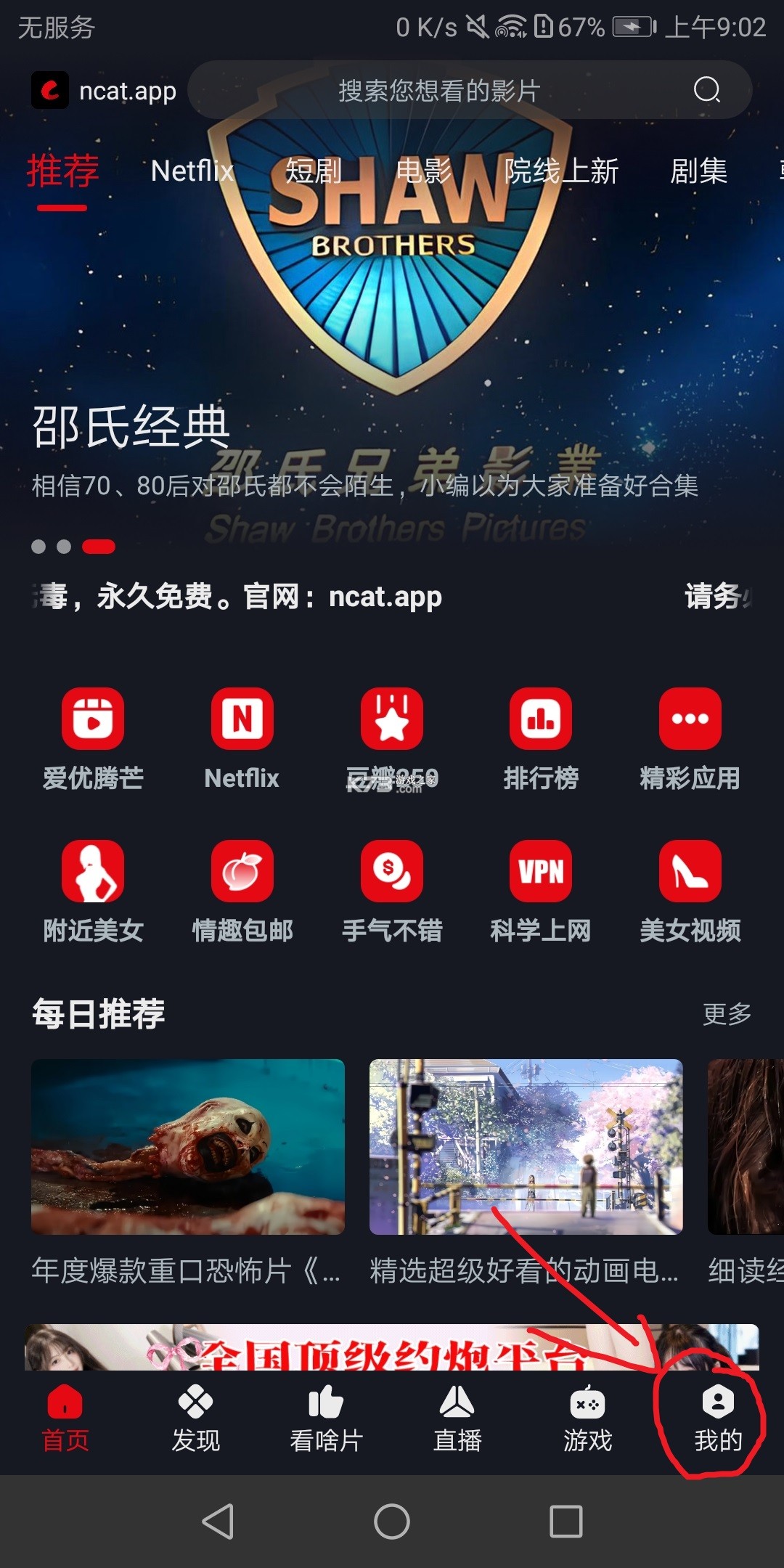 网飞猫