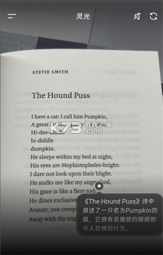 灵光