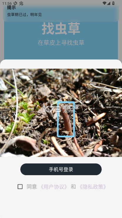 乐见虫草