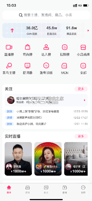 灰豚数据