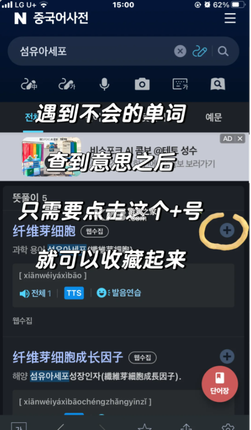 naver词典