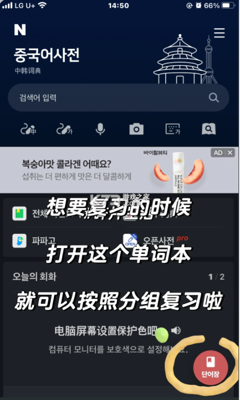 naver词典
